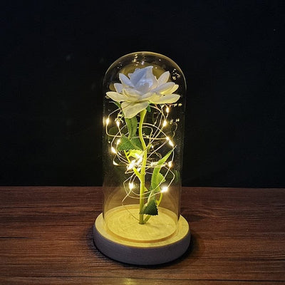 Rose with led light say I love you for all occasions, for romantic moments