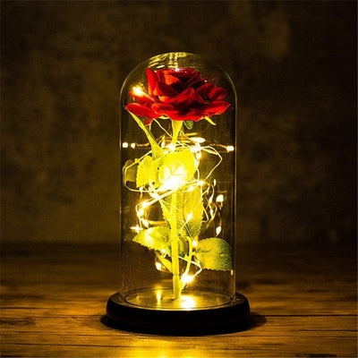 Rose with led light say I love you for all occasions, for romantic moments