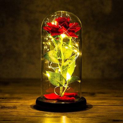 Rose with led light say I love you for all occasions, for romantic moments