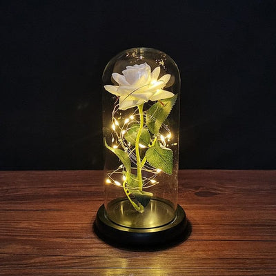 Rose with led light say I love you for all occasions, for romantic moments