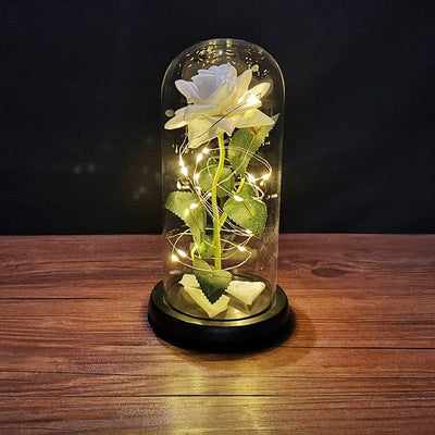 Rose with led light say I love you for all occasions, for romantic moments