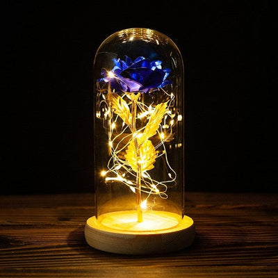 Rose with led light say I love you for all occasions, for romantic moments