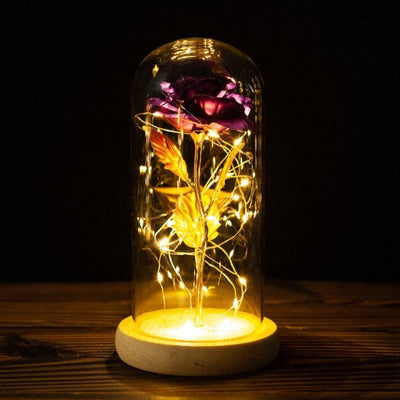 Rose with led light say I love you for all occasions, for romantic moments