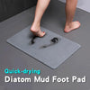 Diatom Mud Absorbent Non-slip Quick-drying Foot Pad Floor Mat Diatomite Bath Mat For Bathroom Entrance Doormat Anti-slip Carpet